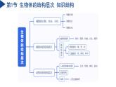 第1章 生命的结构与生殖（单元复习课件）-2024-2025学年七年级科学下册（浙教版2024）