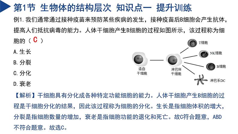 第1章 生命的结构与生殖（单元复习课件）-2024-2025学年七年级科学下册（浙教版2024）第6页