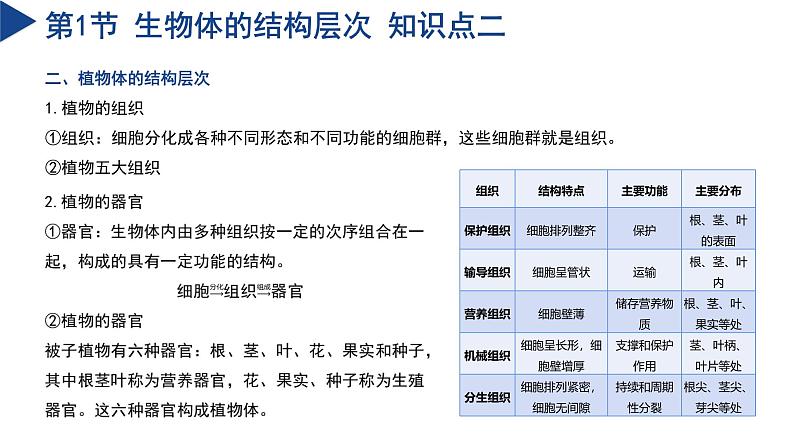 第1章 生命的结构与生殖（单元复习课件）-2024-2025学年七年级科学下册（浙教版2024）第7页