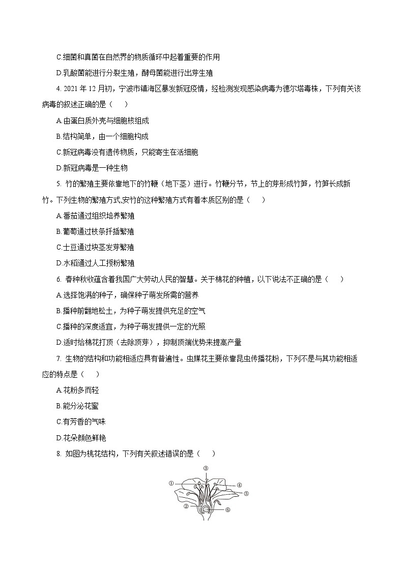 第1章 生命的结构与生殖（单元测试）-2024-2025学年七年级科学下册（浙教版2024）（原卷版）第2页