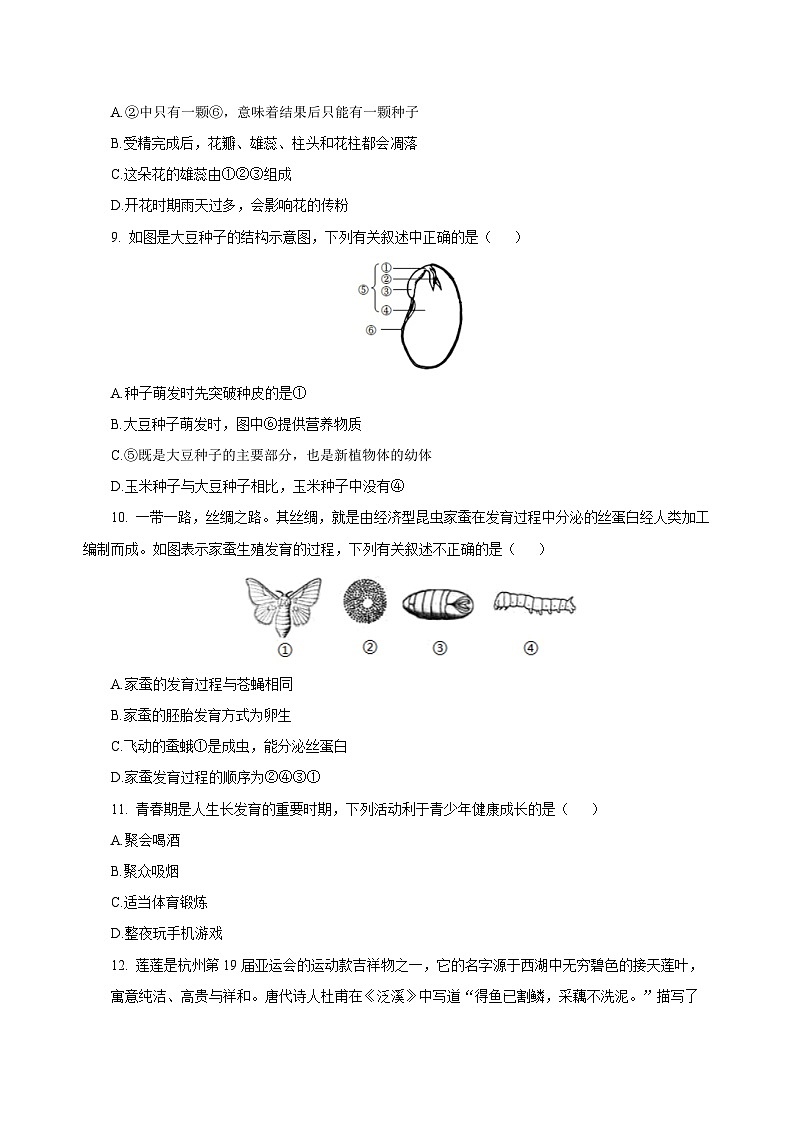 第1章 生命的结构与生殖（单元测试）-2024-2025学年七年级科学下册（浙教版2024）（原卷版）第3页
