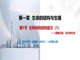 1.1 生物体的结构层次（第1课时）-初中科学七年级下册 同步教学课件+同步练习（浙教版2024）