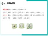 1.1 生物体的结构层次（第1课时）-初中科学七年级下册 同步教学课件+同步练习（浙教版2024）