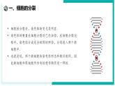 1.1 生物体的结构层次（第1课时）-初中科学七年级下册 同步教学课件+同步练习（浙教版2024）