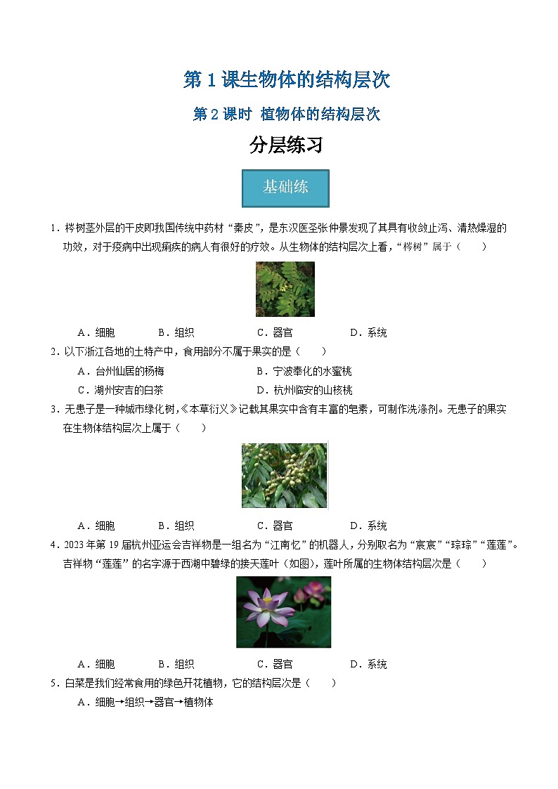1.1 生物体的结构层次（第2课时）（练习）第1页