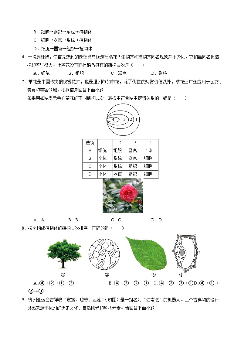1.1 生物体的结构层次（第2课时）（练习）第2页