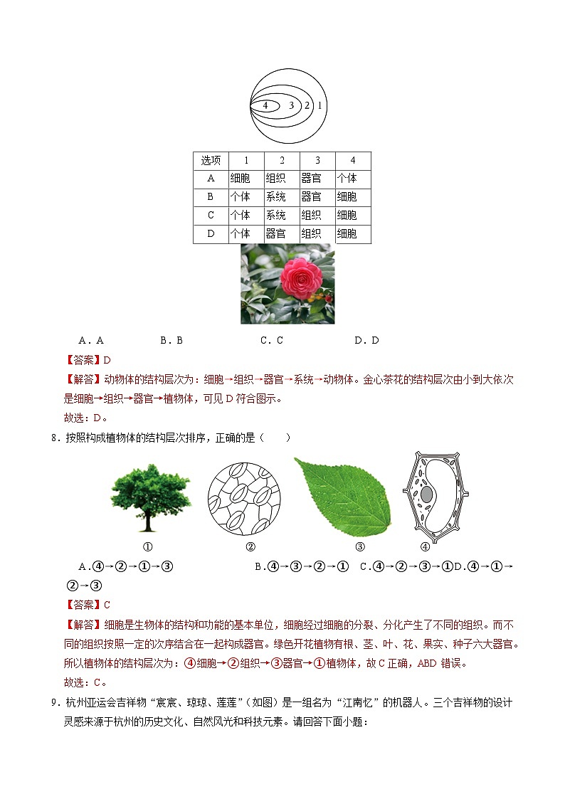 1.1 生物体的结构层次（第2课时）（含答案解析）第3页