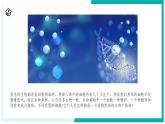 1.1 生物体的结构层次（第2课时）-初中科学七年级下册 同步教学课件+同步练习（浙教版2024）