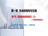 1.1 生物体的结构层次（第3课时）-初中科学七年级下册 同步教学课件+同步练习（浙教版2024）
