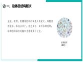 1.1 生物体的结构层次（第3课时）-初中科学七年级下册 同步教学课件+同步练习（浙教版2024）