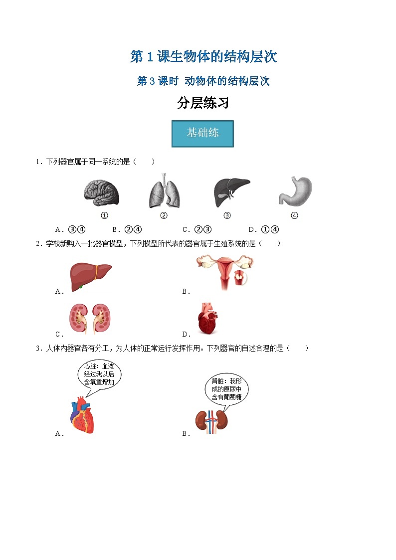 1.1 生物体的结构层次（第3课时）（练习）第1页