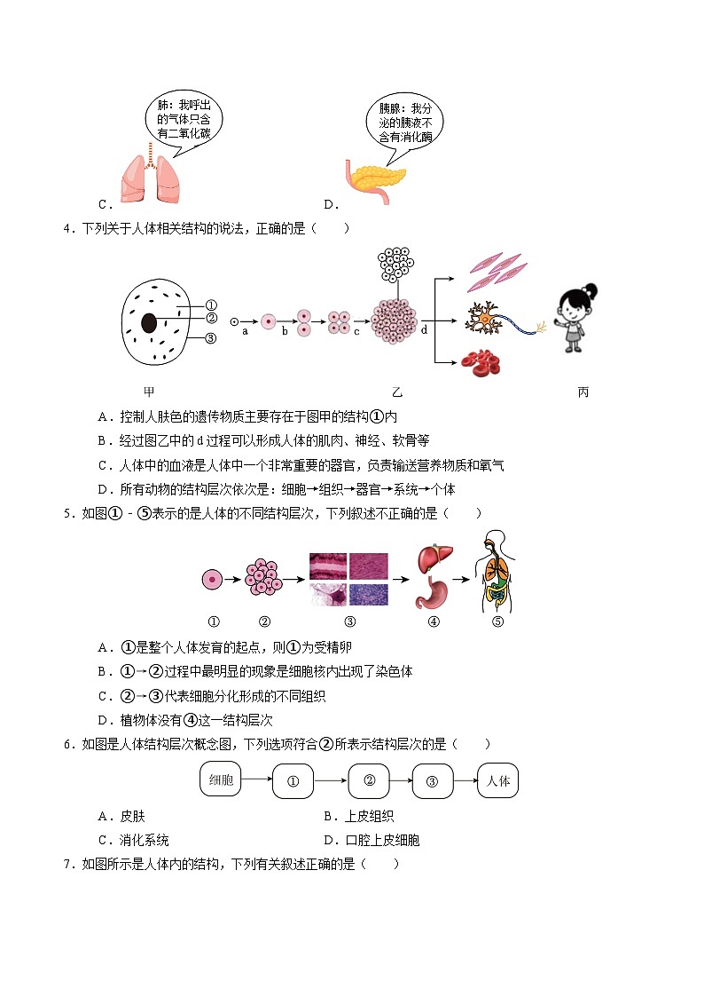 1.1 生物体的结构层次（第3课时）（练习）第2页