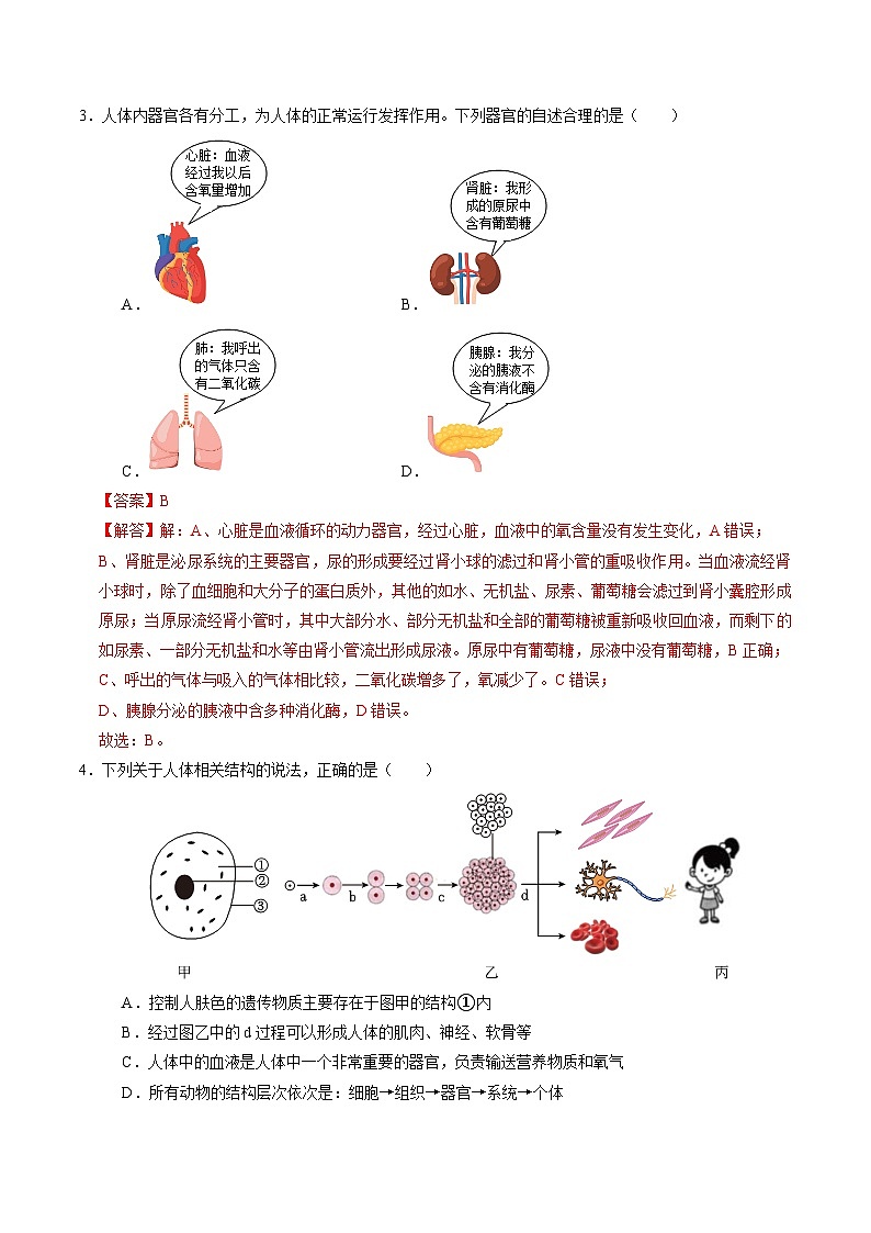 1.1 生物体的结构层次（第3课时）（练习）（含答案解析）第2页