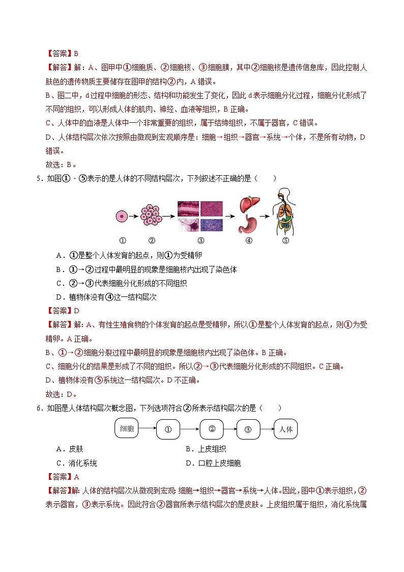 1.1 生物体的结构层次（第3课时）（练习）（含答案解析）第3页
