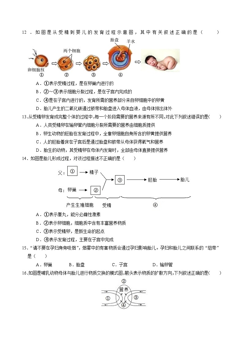 1.2 人和动物的生殖与发育（第1课时）（练习）第3页