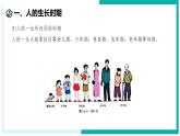 1.2 人和动物的生殖与发育（第2课时）-初中科学七年级下册 同步教学课件+同步练习（浙教版2024）