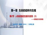 1.2 人和动物的生殖与发育（第3课时）-初中科学七年级下册 同步教学课件+同步练习（浙教版2024）