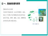 1.2 人和动物的生殖与发育（第3课时）-初中科学七年级下册 同步教学课件+同步练习（浙教版2024）