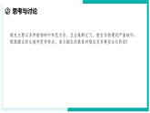 1.2 人和动物的生殖与发育（第3课时）-初中科学七年级下册 同步教学课件+同步练习（浙教版2024）
