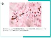 1.3 植物的生殖与发育（第1课时）-初中科学七年级下册 同步教学课件+同步练习（浙教版2024）