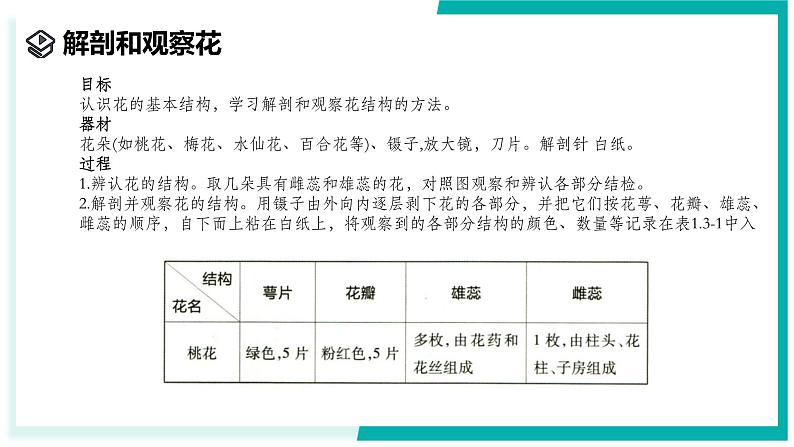 1.3 植物的生殖与发育（第1课时）-初中科学七年级下册 同步教学课件（浙教版2024）第5页