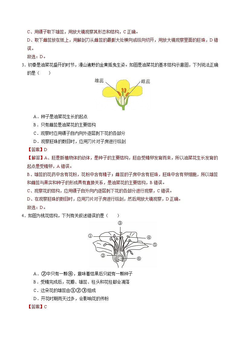 1.3 植物的生殖与发育（第1课时）（练习）（含答案解析）第2页