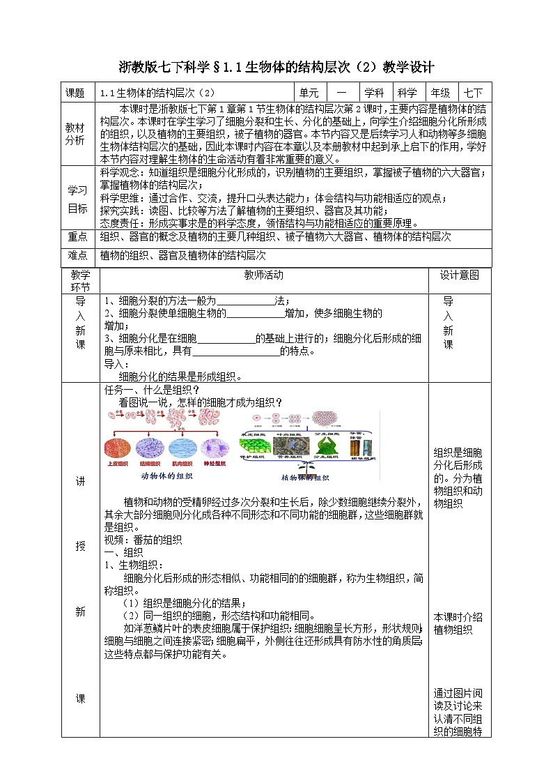 浙教版七下科学 1.1 生物体的结构层次（2） 教学设计（表格式）第1页