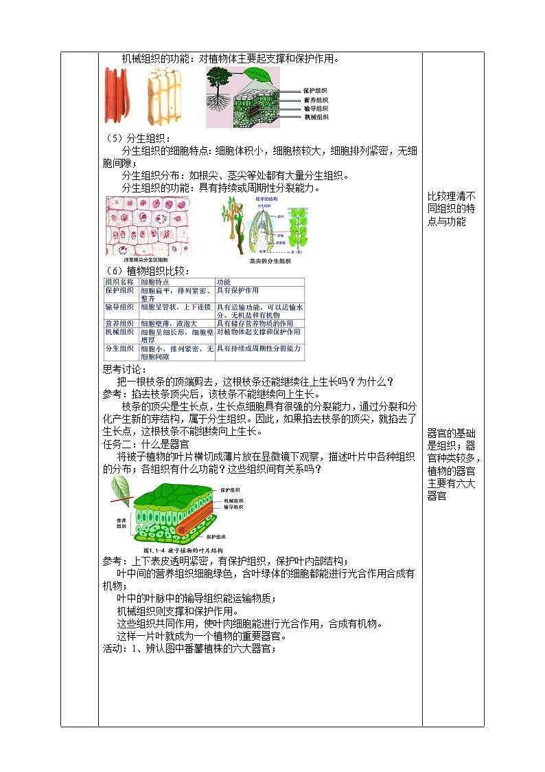 浙教版七下科学 1.1 生物体的结构层次（2） 教学设计（表格式）第3页