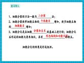 【新教材核心素养】浙教版科学七年级下册1.1 生物体的结构层次 第2课时（课件+同步教案+导学案+素材）