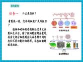 【新教材核心素养】浙教版科学七年级下册1.1 生物体的结构层次 第2课时（课件+同步教案+导学案+素材）