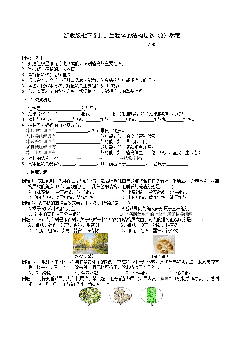 浙教版七下科学 1.1 生物体的结构层次（2）学案第1页