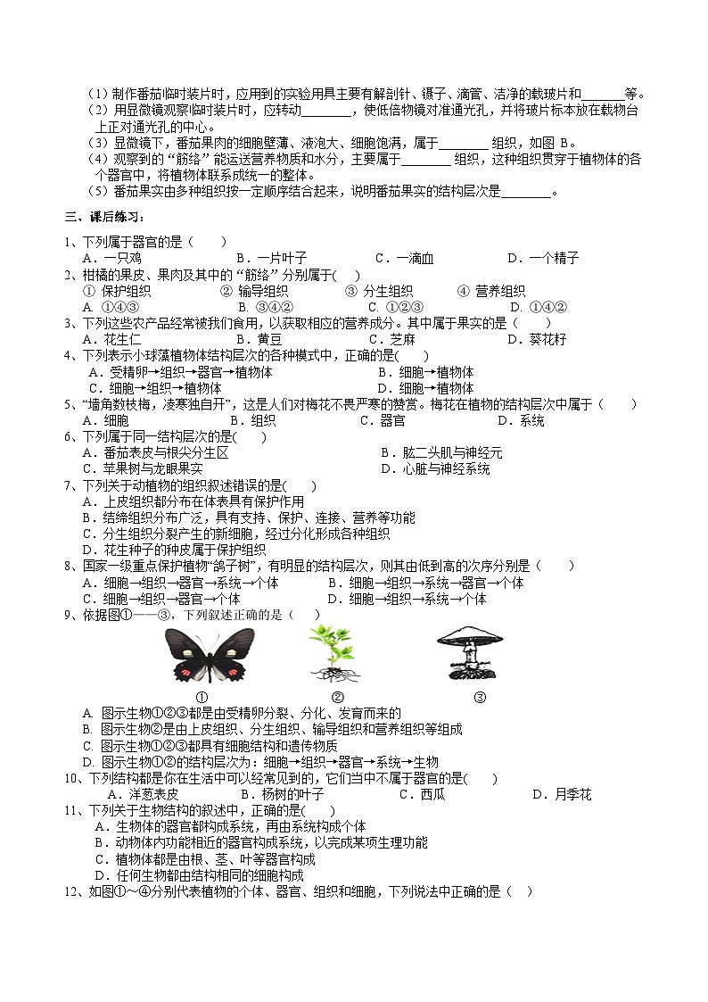 浙教版七下科学 1.1 生物体的结构层次（2）学案第2页