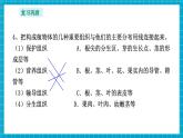 【新教材核心素养】浙教版科学七年级下册1.1 生物体的结构层次 第3课时（课件+同步教案+导学案+素材）