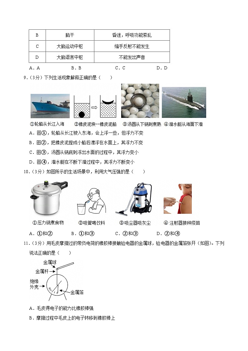 2023-2024学年浙江省嘉兴市平湖市八年级（上）期末科学试卷第3页