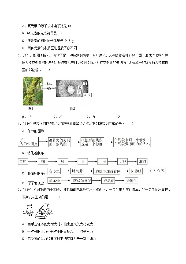 2023-2024学年浙江省宁波市宁海县八年级（上）期末科学试卷第2页