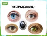 華師大版科學(xué)八下 2.4《眼的成像原理 視力的矯正》課件+素材
