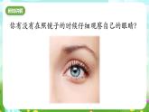 华师大版科学八下 3.1《眼与视觉》课件+素材