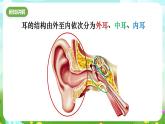 华师大版科学八下 3.2《耳与听觉》课件+素材