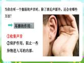 华师大版科学八下 3.2《耳与听觉》课件+素材