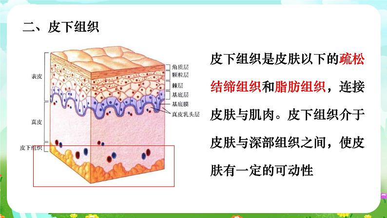 华师大版科学八下 3.3《皮肤感觉》课件第6页