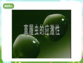 华师大版科学八下 7.1《动物的行为》第2课时 课件