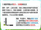 华师大版科学八下 7.1《动物的行为》第2课时 课件