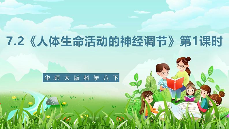 华师大版科学八下 7.2《人体生命活动的神经调节》第1课时 课件第1页