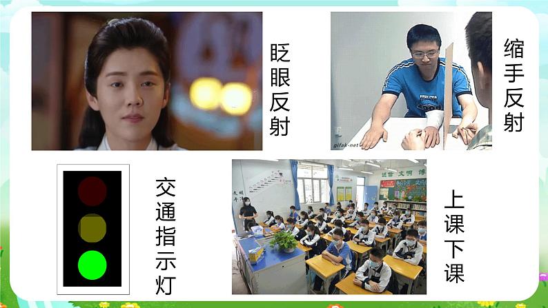 华师大版科学八下 7.2《人体生命活动的神经调节》第2课时 课件第4页