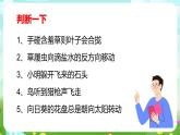 华师大版科学八下 7.2《人体生命活动的神经调节》第2课时 课件