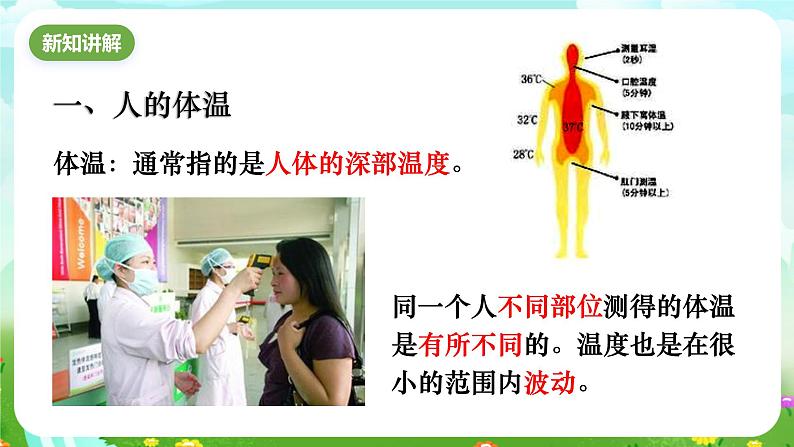 华师大版科学八下 7.4《人体是一个统一的整体》课件第3页