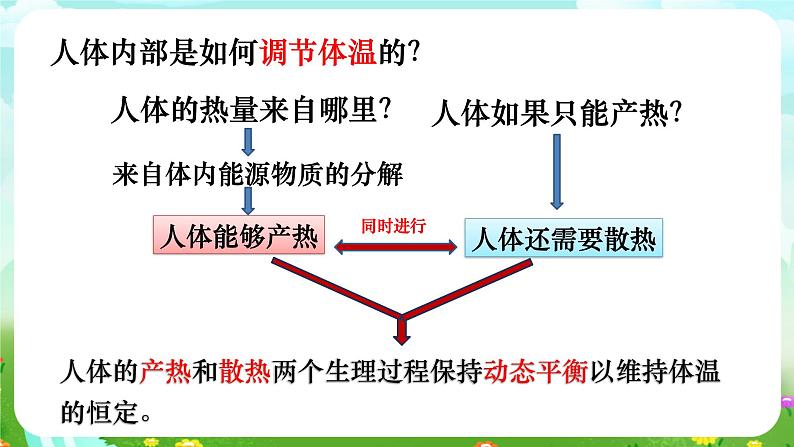 华师大版科学八下 7.4《人体是一个统一的整体》课件第7页