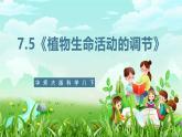 华师大版科学八下 7.5《植物生命活动的调节》课件+素材