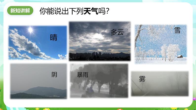 华师大版科学八下 8.1《天气、气候和人类活动》课件第3页