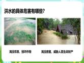 华师大版科学八下 8.4《气象灾害和防灾减灾》课件